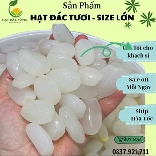 Hạt đác tươi Khánh Hòa làm sạch không tẩy trắng hạt dẻo mền cơm dầy dùng làm topping nấu chè rim đường túi1 kg hút không