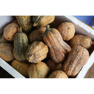 [HOẢ TỐ] 1kg Bí Đỏ-247PetWorld