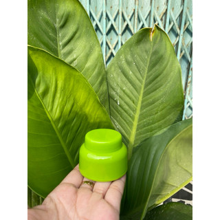 Hủ đựng kem face 10g(hủ bầu mini)