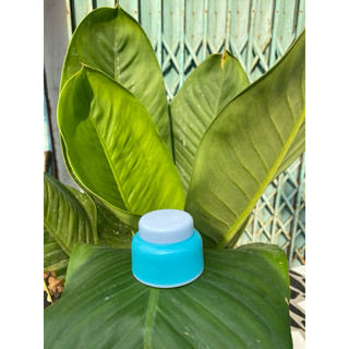 Hủ đựng kem face 10g(hủ bầu mini)