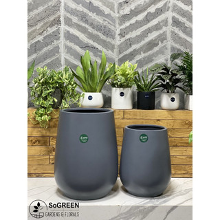 Chậu composite cây cảnh sogreen 12 - chậu trồng cây