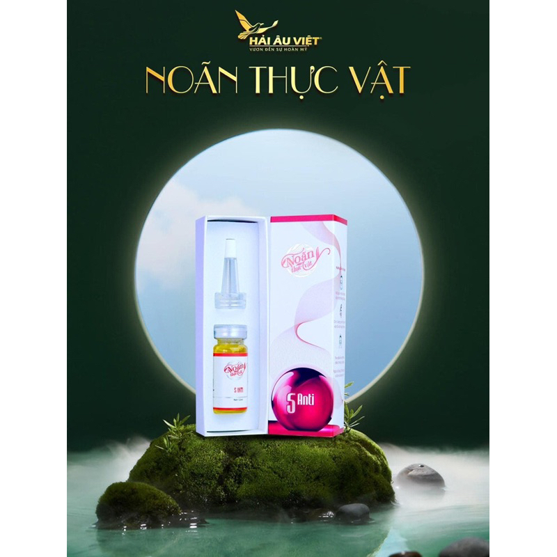 Noãn Thực Vật - Hải Âu Việt