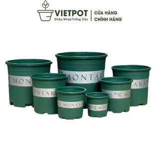Chậu nhựa trồng cây VIETPOT, màu xanh Montario, trồng hồng, kiểng lá, để vườn nhà, ban công.