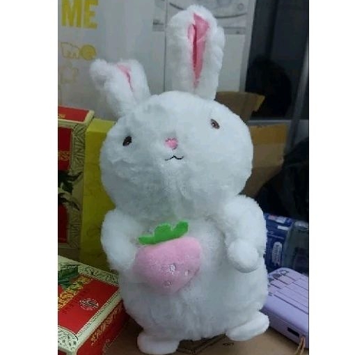 (25cm) Gấu bông thỏ Cony