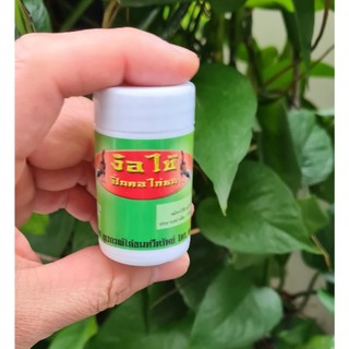 Nấm họng - nấm cóc hầu- nấm họng xanh cho gà, gia cầm.