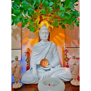 Tượng phật thích ca mâu ni ca0 50 cm thờ cúng, trang trí nhà cửa, bàn trà, hồ thủy sinh, tiểu cảnh, bán cạn