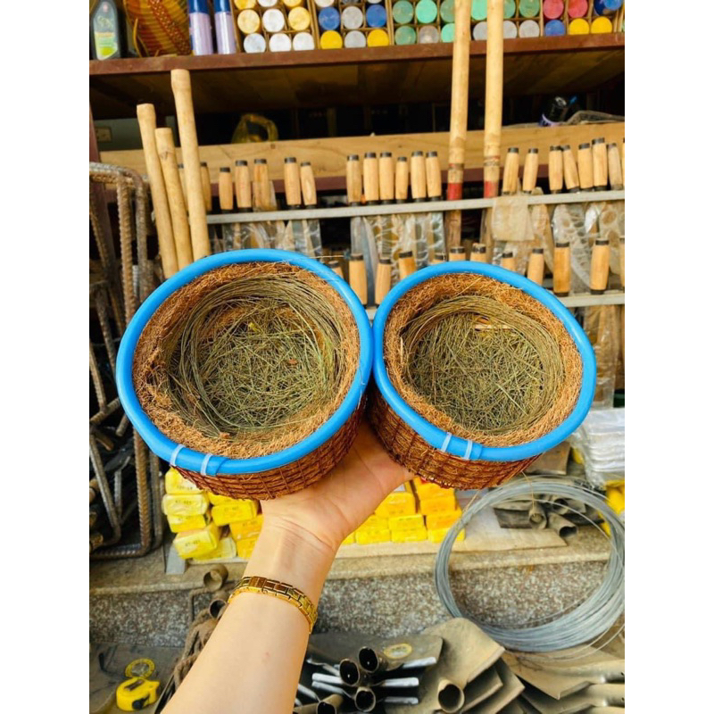 Tổ chim sinh sản giá rẻ