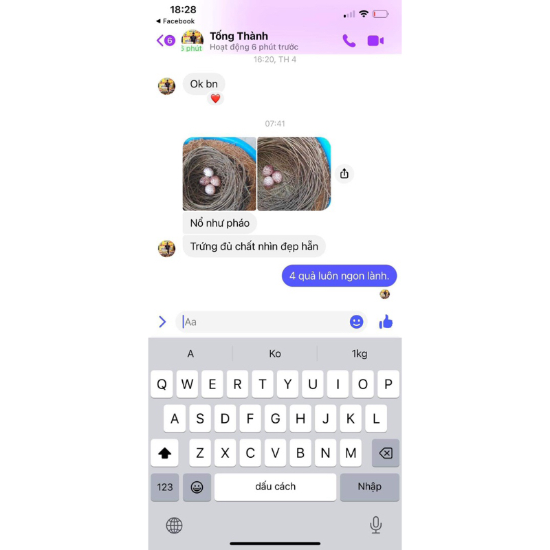 Tổ chim sinh sản giá rẻ