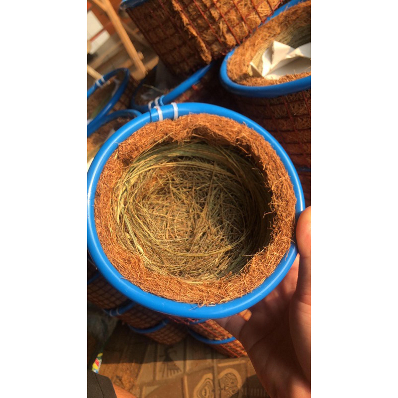 Tổ chim sinh sản giá rẻ