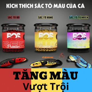 Cám BOS tăng màu Xanh - Đỏ - Vàng Cá Lóc cảnh từ Singapo Hỗ Trợ Tăng Màu