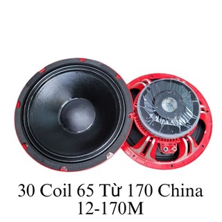 Bass 30 coil 65 từ 170 sườn đúc đỏ 12170m nhập