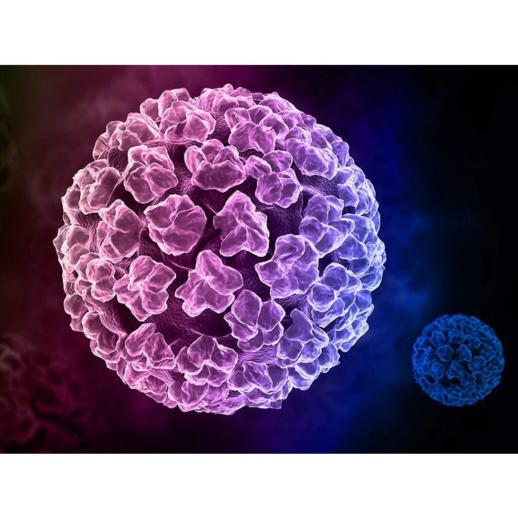 SMAGA VIÊN NÉN GIÚP TĂNG CƯỜNG MIỄN DỊCH TIÊU DIỆT ĐÀO THẢI GIẢM NỒNG ĐỘ HPV SÙI MÀO GÀ NHANH CHÓNG