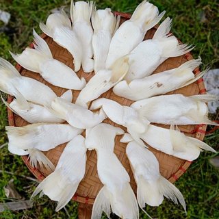 - ức cá dứa , mỡ bụng cá dứa - 1 kg ức mỡ khô cá dứa , 1kg khô ức cá dứa