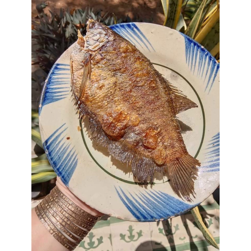 500gram khô cá sặc bổi , loại thượng hạng thơm ngon ít dầu