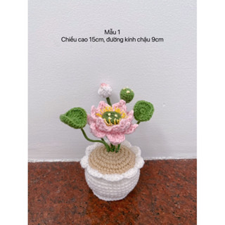 Chậu hoa len nhiều loại móc thủ công làm quà tặng, trang trí trưng bày