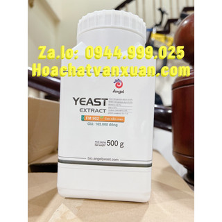 Cao nấm men yeast extract FM902 500g nuôi cấy vi sinh, đông trùng hạ thảo hãng Angel