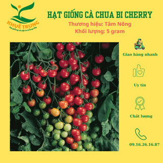 Hạt giống cà chua bi siêu quả Cherry tomato