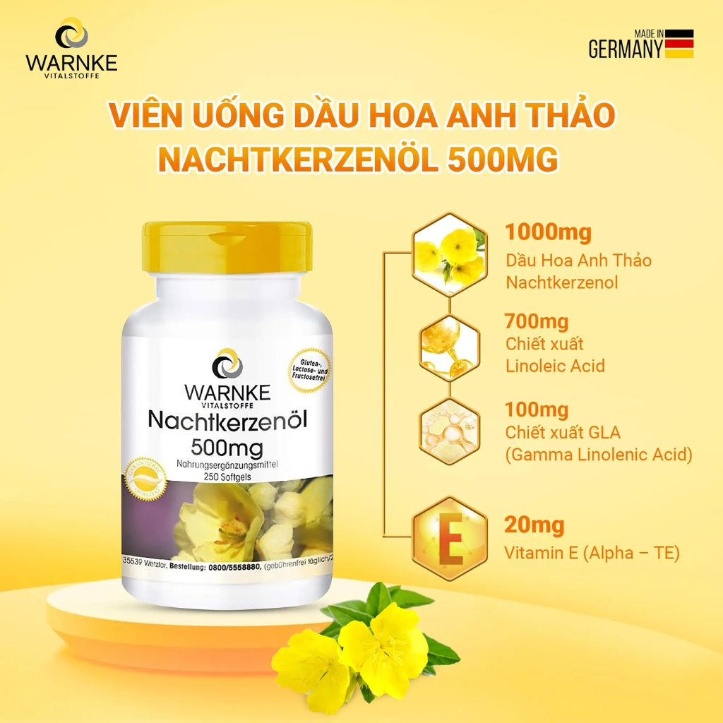 Viên uống tinh dầu hoa anh thảo Nachtkerzen l 500mg Đức hỗ trợ cân bằng