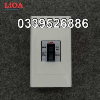 Combo cầu dao tự động an toàn APTOMAT LiOA loại 2 cực 1 tiếp điểm - Lắp nổi lớn