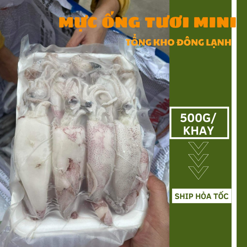 Mực ông tươi mini khay 500g ( giao hỏa tốc Hà Nội )