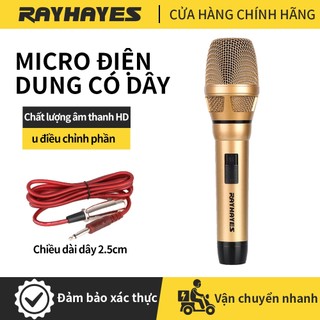 Micrô có dây của Rayhayes cho video Quá trình chất lượng cao