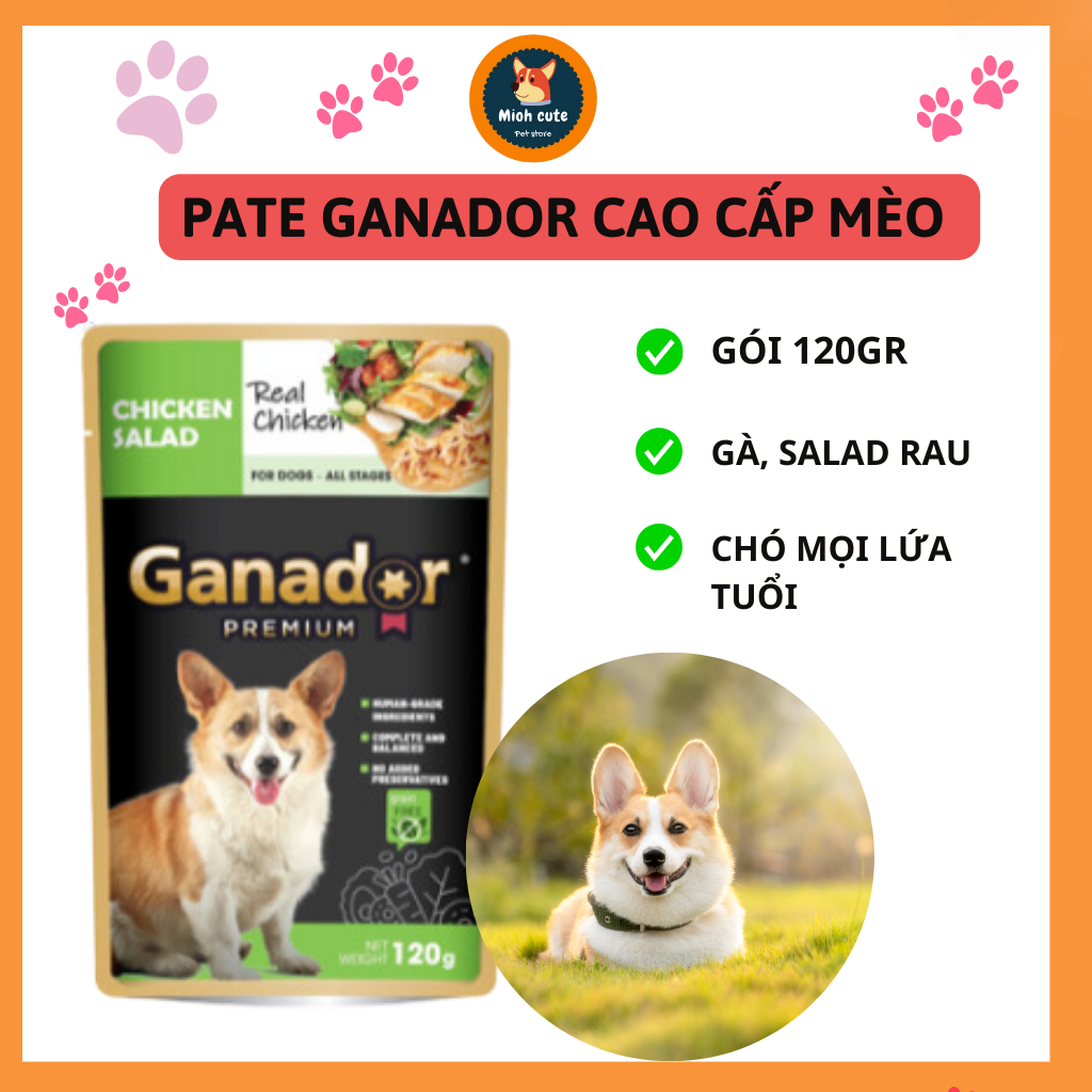Pate cho chó Ganador Gà Salad Gói 120G