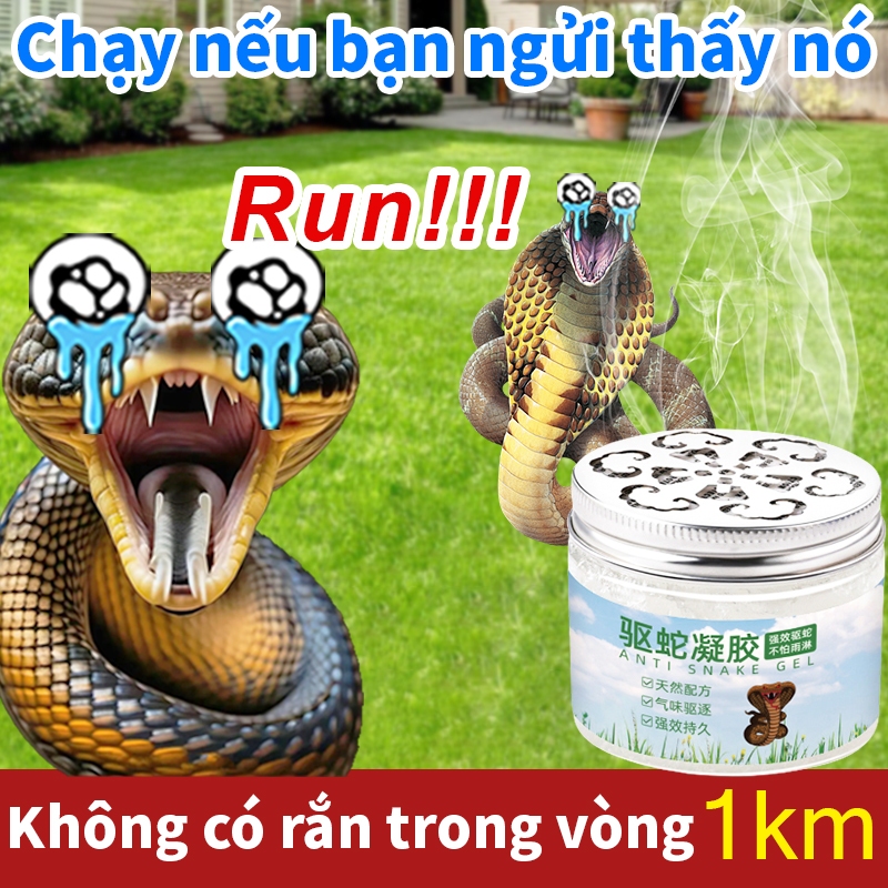 🐍Mười năm không có rắn🕐 thuốc đuổi rắn đuổi rắn bột đuổi rắn 100g Thích hợp cho cắm trại ngoài trời, câu cá, v.v.