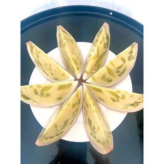 Bánh plan rau câu trái dừa