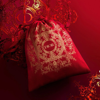 Túi rút gift Dior