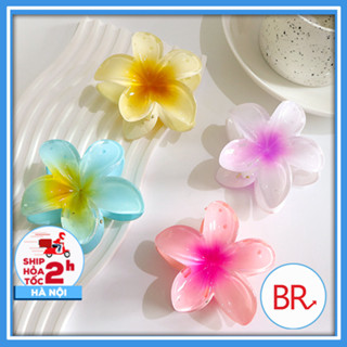   CÓ SẴN  Kẹp tóc hình hoa Bauhinia màu kẹo thời trang Kẹp tóc hoa sứ đi biển hình hoa nhiều màu sắc bó hoa kẹp tóc 02163 