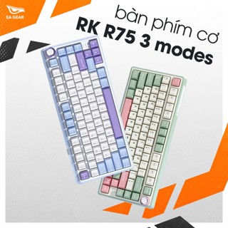  Bàn Phím Cơ RK R75 3 Modes  Gasket mount 3 modes full foam RGB  - EA Gear 