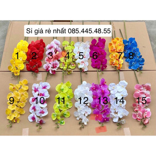 Cành lan cao su 9 bông giống thật 99% loại 1
