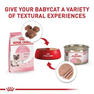 Thức ăn cho mèo con, mèo đang mang thai và mèo mẹ đang cho con bú Royal Canin Mother and Babycat 400g sản xuất tại pháp
