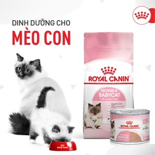 Thức ăn cho mèo mang thai, mèo mẹ, mèo con dưới 4 tháng tuổi Royal Canin Mother and Babycat 4kg sản xuất tại Pháp