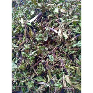Cúc tần phơi khô/tươi (lức, sài hồ nam, từ bi) (1kg)