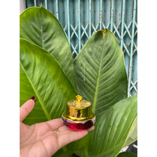 Hủ đựng kem face 15g(hủ vua)