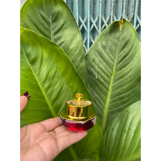 Hủ đựng kem face 15g(hủ vua)