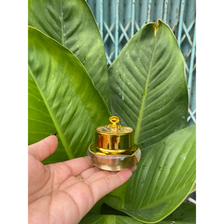 Hủ đựng kem face 15g(hủ vua)