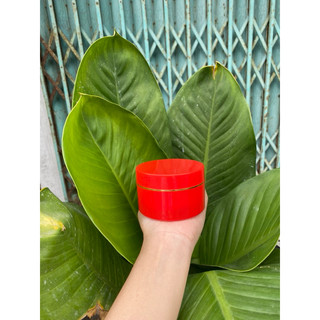 Hủ đựng kem body 100g (hủ K)
