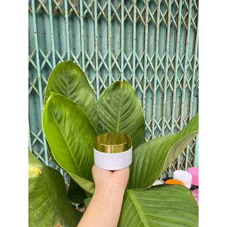 Hủ đựng kem body 100g (hủ K)