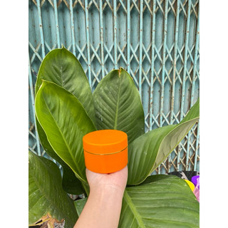 Hủ đựng kem body 100g (hủ K)