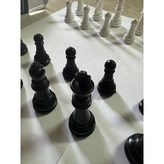 Bộ Quân Cờ Vua. Nam Châm.