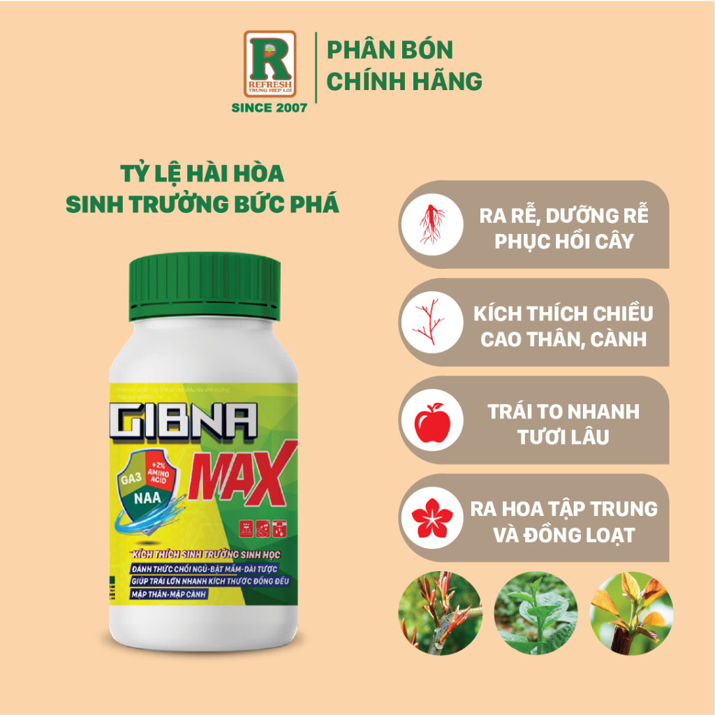 Gibna Max - Phân bón lá Amino có chất điều hòa sinh trưởng