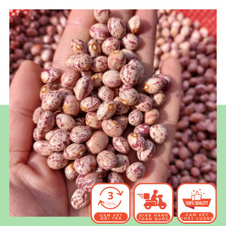 Đậu cúc đà lạt - đậu pinto nấu cháo, nấu chè, nấu sữa hạt, ăn dặm cho bé