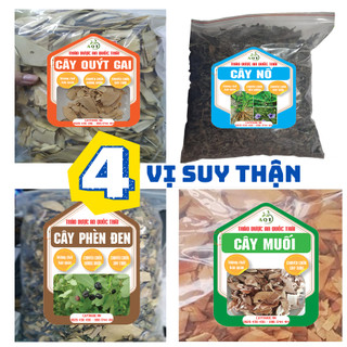 Thang suy thận, 4 cây hỗ trợ bệnh thận, thận hư mỗi vị 500g