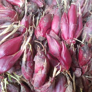 1kg sâm đại hành.củ sâm đại hành tuoi(tỏi Lào tỏi đỏ kiệu đỏ)
