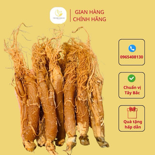 Hồng sâm sấy dẻo thơm chuẩn