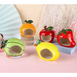 NHÀ SỨ TRÁI CÂY CHO HAMSTER