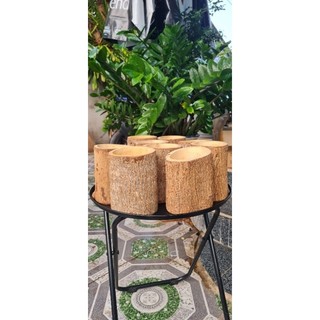 Chậu gỗ keo trồng cây sen đá, bon sai, xương rồng, ...
