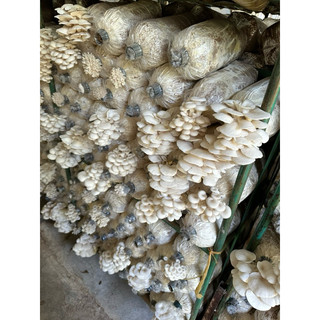 Chìa khoá tủ